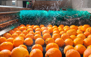 Industria alimentare