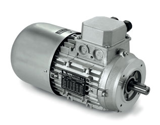 Two-speed self-braking motors