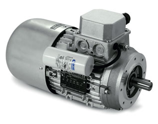 Single-phase self-braking motors