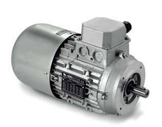 Three-phase self-braking motors