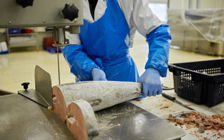 Macchine per la lavorazione di carni o pesce